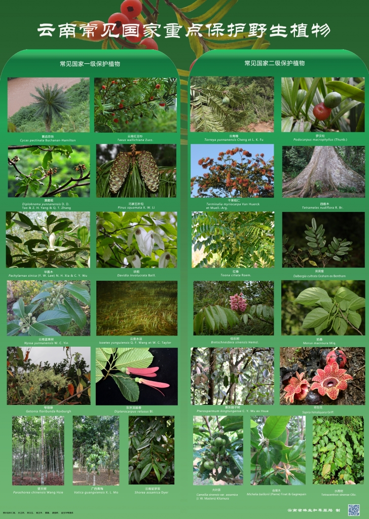 �԰��շ���Σ�������ص㱣������������ֲ����